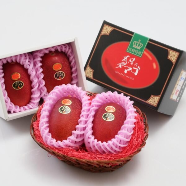 Miyazaki Mango Plant (Taiyo no Tamago) – World’s Most Premium Japanese Red Mango | Uglaoo