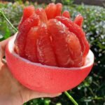 Thai Red Pomelo Plant (Batabi Lebu) – Sweet Juicy Red Pomelo Fruit Tree for Home Garden | Uglaoo - Image 4