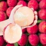 Seedless Litchi Plant – Sweet Juicy Litchi Tree for Home Garden | Uglaoo