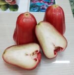 Red Water Apple Plant – Sweet Juicy Exotic Fruit Tree for Home Garden | Uglaoo - Image 5