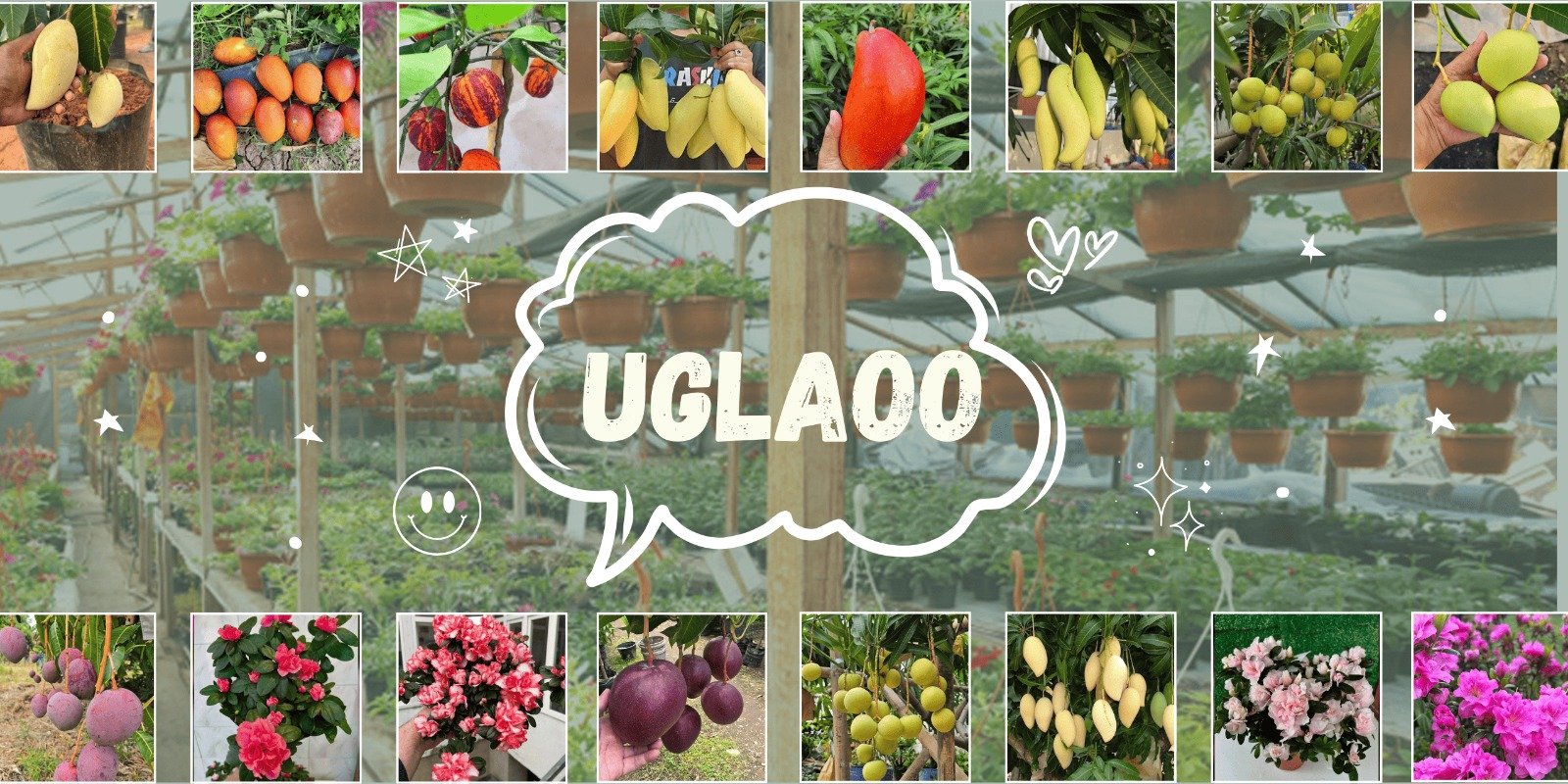 WhatsApp Image 2025-12-09 at 1.29.13 PM