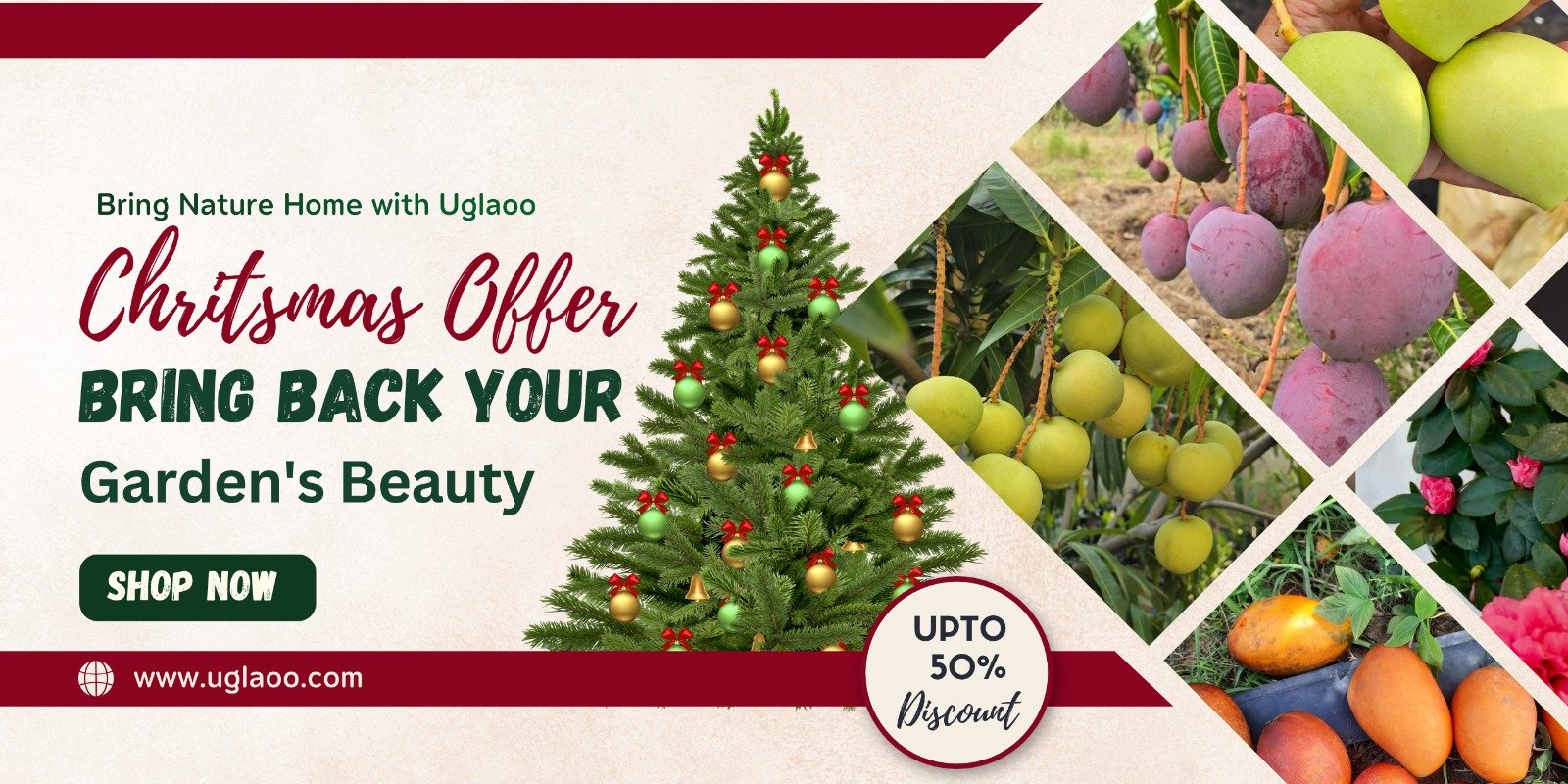 WhatsApp Image 2025-12-09 at 1.47.46 PM