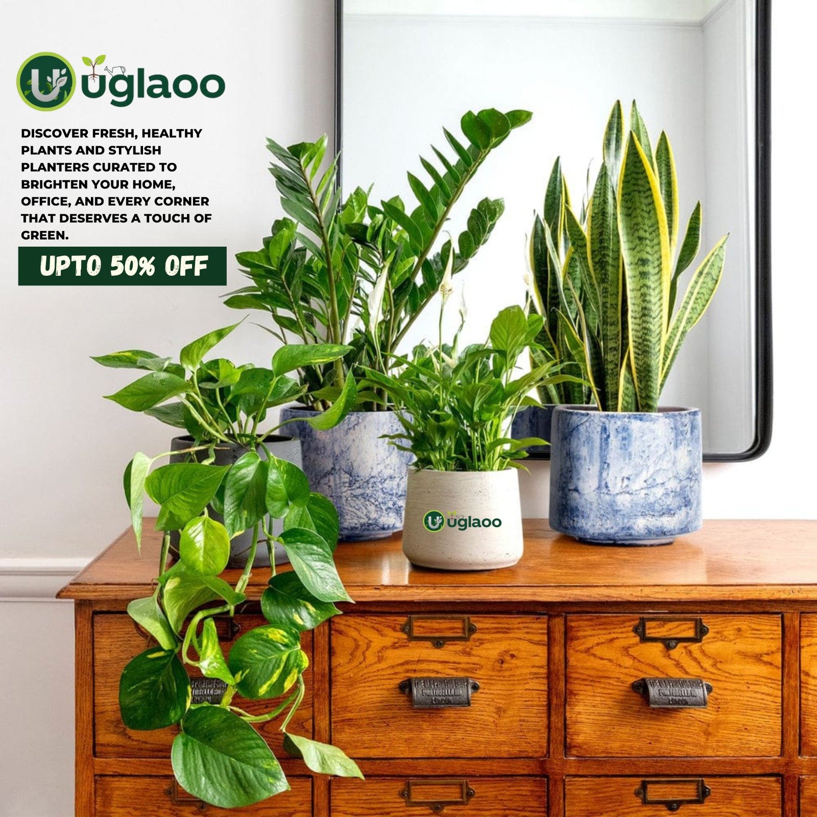 WhatsApp Image 2025-12-09 at 3.01.16 PM