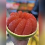 Thai Pomelo Plant (Batabi Lebu) – Large Sweet Citrus Fruit Tree for Home Garden | Uglaoo - Image 4