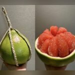 Thai Pomelo Plant (Batabi Lebu) – Large Sweet Citrus Fruit Tree for Home Garden | Uglaoo