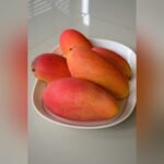 Xishi Mango Plant – Rare Exotic Sweet Mango Tree for Home Garden | Uglaoo - Image 4