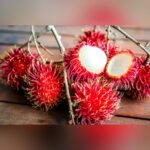 Rambutan Plant – Exotic Sweet Tropical Fruit Tree for Home Garden | Uglaoo - Image 4
